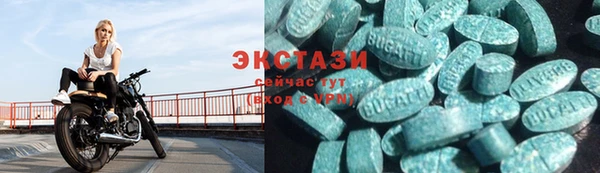 тгк Снежногорск