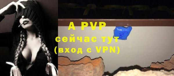 мяу мяу мука Богданович