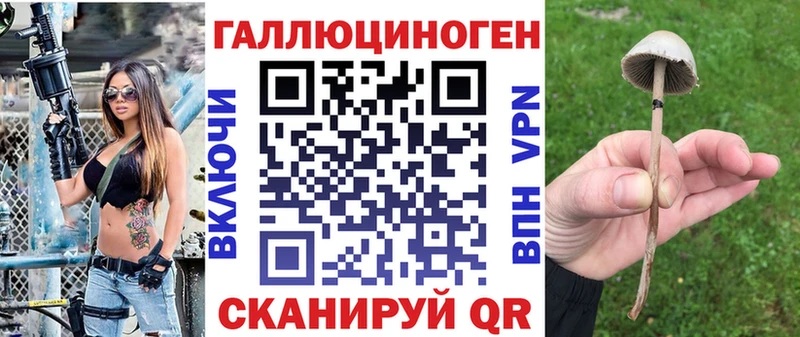 Купить где  Байкальск  Псилоцибиновые грибы прущие грибы 